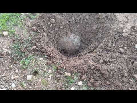 Finding the lost treasure using a metal detector