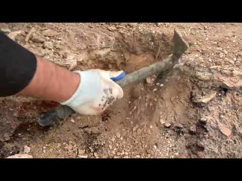 Ancient Treasure Found Underground Incredible Coin Hoard