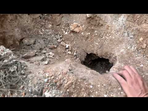 Hidden Treasure Found Underground Ancient Gold Coins Secret