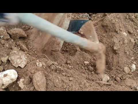 Finding Egyptian treasure