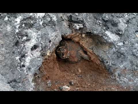 Incredible Discovery Hidden Gold Found Inside an Ancient Jar