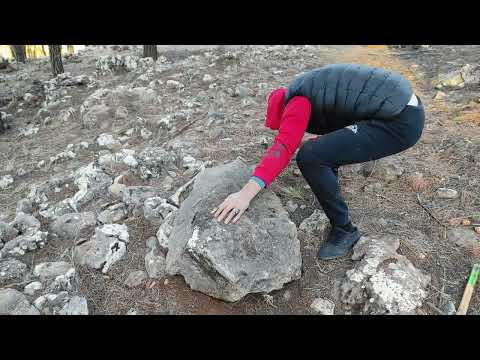 Finding the lost treasure