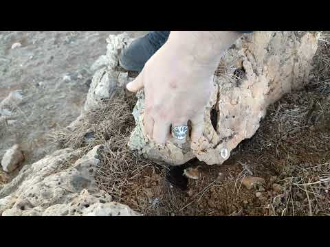Finding the lost treasure