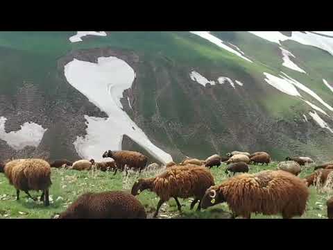 TEHLİKELİ KAR TABAKASI ÜZERİNDEN SÜRÜYÜ GEÇİRİYORUZ