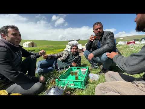 EVLER GELDİ OBA KURULUYOR EKİBE YENİ YAVRU KÖPEK