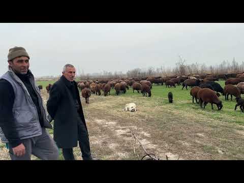 UZUN BİR ZAMANDAN SONRA İLK VİDEO YOLCULUK BOYU ERDAL