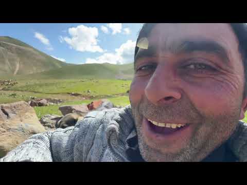 OBA KURULDU KOYUNLARI AYIRMAYA BAŞLADIK