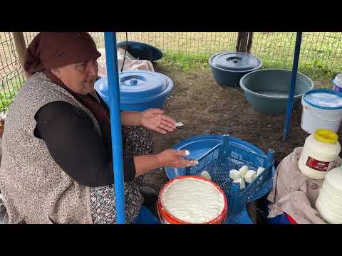 BULUTLARIN ÜSTÜNDEKİ SÜRÜ YAYLADA KIŞLIK PEYNİRİ