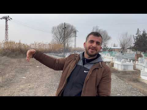 HIRÇO KÖY KÖPEKLERİ ve KARDEŞİ İLE KARŞI KARŞIYA GELİYOR