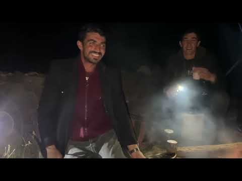 TEK KALAN KURT BİR ANDA DENK GELDİ BU KIRMIZI KÖPEKLER FENA