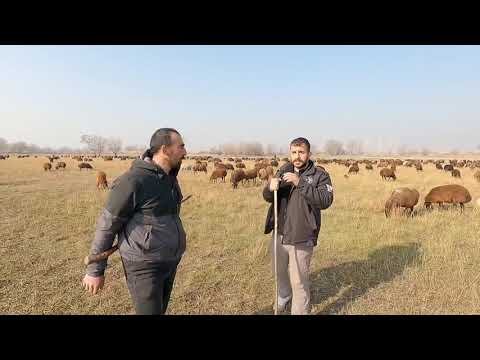 ARKADAŞIM GÖKHAN ZİYARETİME GELDİ EMİN GİTTİ BAKALIM NE