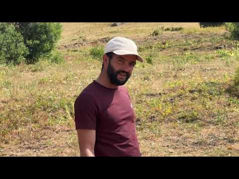 4K SÜRÜSÜNÜ BAŞARIYLA KORUYAN KÖPEKLER DRONDAN KAÇAN