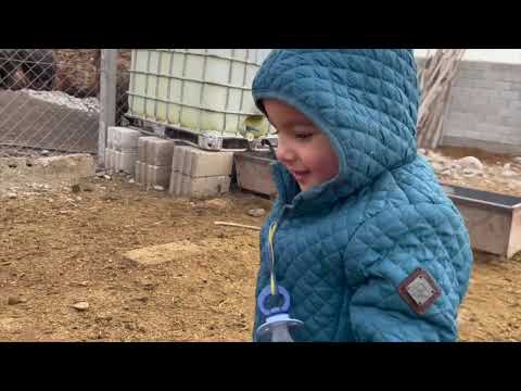 KÖPEKLER ET İÇİN BİRBİRİNE GİRDİ DAYIM ZOR AYIRDI YAŞAR
