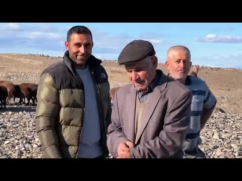 BİR AYLIK YOLCUĞUMUZ BİTTİ IĞDIRA VARDIK KOYUNLARI