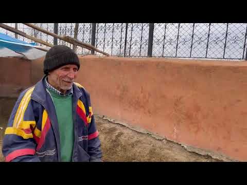 RÜZGARIN YIKTIĞI KOYUN YERİNİ DÜZELTTİKTEN SONRA DEMİR