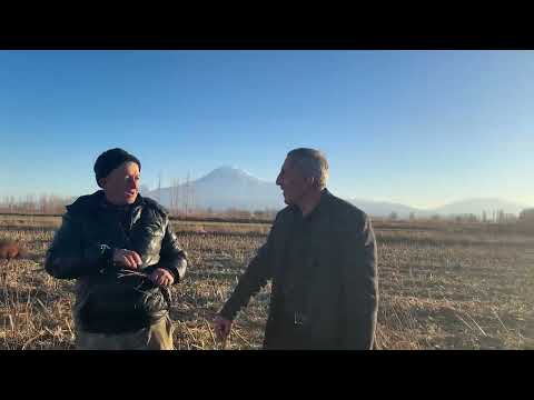 MISIR BAĞIMLISI KOYUN CEMAL DAYININ PEŞİNİ BIRAKMIYOR