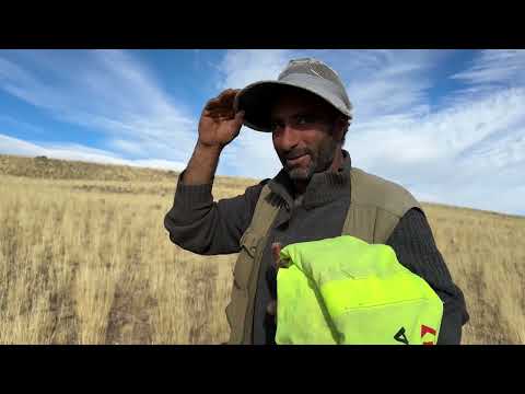 YÜZLERCE KOYUN KAYIP KARLI SABAHA UYANDIK