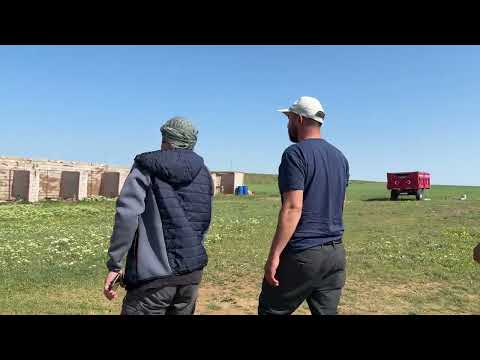 SİVASTAN YENİ YAVRULAR ALDIK