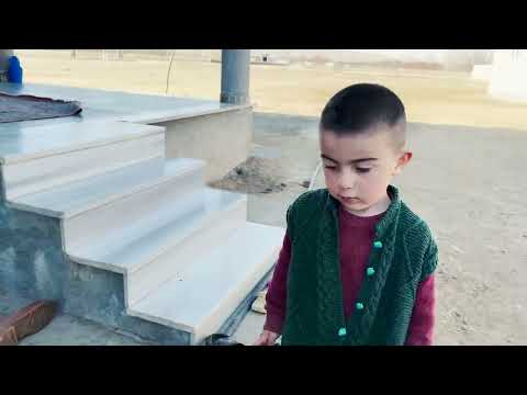 MİSAFİRİMİZ VE KÖPEKLERLE BİRLİKTE AĞRI DAĞINA ÇIKTIK KOM