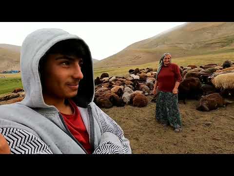 OBADAKİ KIZLAR KOYUN KIRPIYOR 39