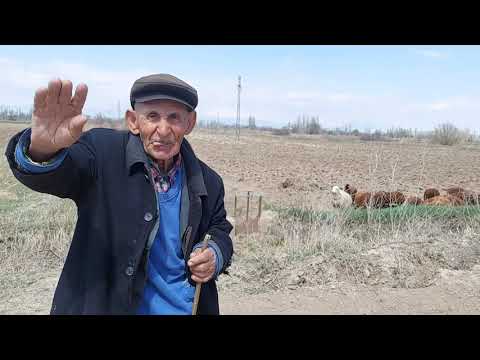 ANADOLUNUN ÖZ EVLADI HÜZÜNLÜ BİR HAYAT HİKAYESİ 80 YILLIK