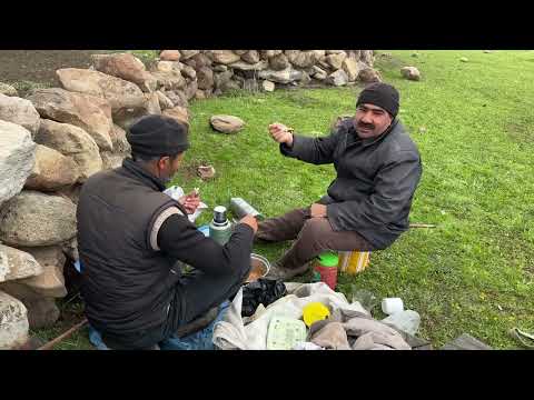 5 İ BİRDEN BİR KÖPEĞE SALDIRDI SİNEK YAYLARINDAYIZ 8 BÖLÜM