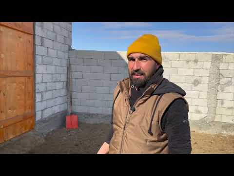 KUZULARDA MAKSİMUM VERİM İÇİN NELERE DİKKAT EDİLMELİ