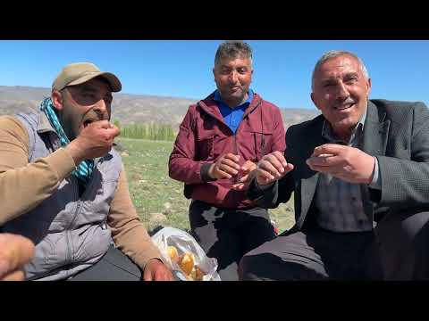 GÜN BOYU ARAS NEHRİ HAVZASINDAYDIK BABAMDAN ESKİ ÇOBANLIK
