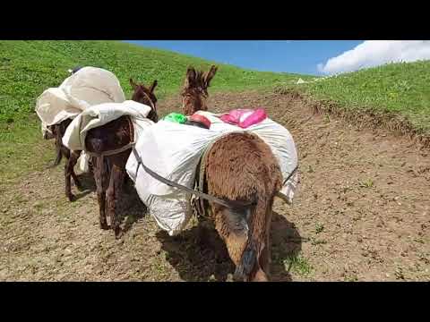 GÖÇ YOLCULUĞUNDA ERZAK TAKVİYESİ İRANDAN GELEN ÇOBAN