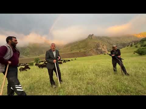 KUZULARIN YENİ MEKANI SİSLİ DAĞLAR