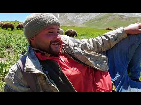 YAYLADA SÜRÜ ÇOBANLARININ BİR GÜNÜ OBANIN GELME ZAMANI