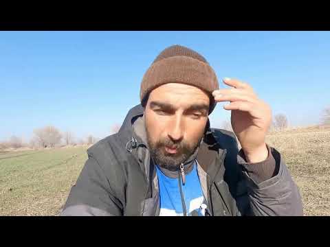 OLAYLAR ÜST ÜSTE GELDİ HAPİS CEZASI EVRAĞI GELDİ KÖPEKLERİM