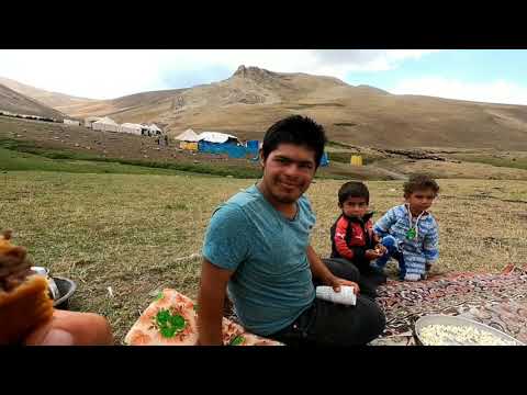 OBADA KOÇ KATMA ŞENLİĞİ KOÇ KATIMI YAPTIK