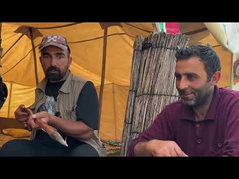 YENİ EFSANE DİŞİ ÇOBAN KÖPEĞİ HIRÇÊ