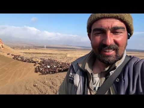 ERMENİSTAN İLE TÜRKİYE SINIRINDAN GEÇEN SÜRÜLER ARAS NEHRİ