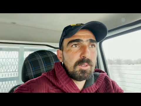 YABANCI KÖPEĞE HIRÇONUN TEPKİSİ SERT OLDU