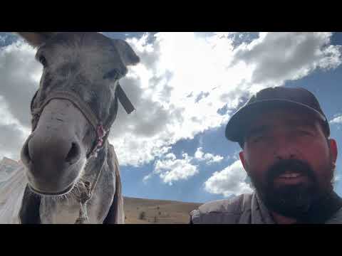 EKİBİN YENİ ÜYESİ DELİ SARSILMAZ VE HIRÇONUN SON DURUMU