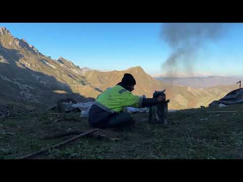 AYLAR SONRA KÖPEKLERE KAVUŞAN ŞAHİN ABİ BÜYÜK MUTLULUK