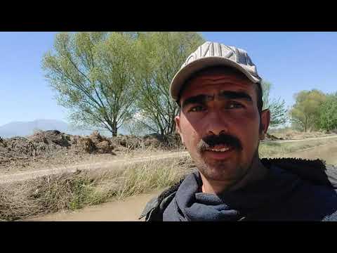 MOR KOYUNUN BÜYÜK GÖÇÜ BAŞLADI EŞEĞİMİZİ YÜKLEDİK GİDİYORUZ