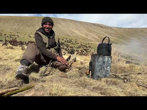 AHMET İLE AYRILMA VAKTİ AVUSTURALYADAN ÇOBAN KÖPEĞİ İÇİN