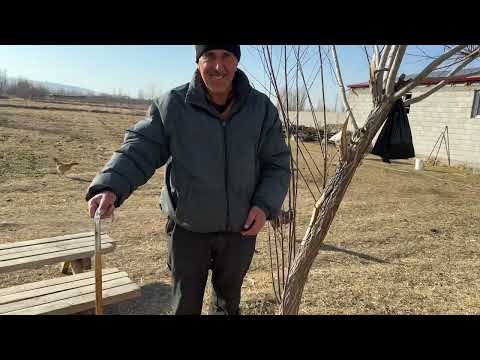EKMEK SICAK HAVALAR GELMEYE BAŞLADI