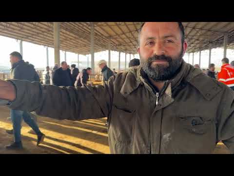 HAYVAN PİYASASINDA SON DURUM