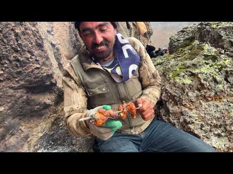 DAĞLARDA KAR YAĞIYOR BİZDE KAYA DİBİNDE MANGAL VE ÇAY