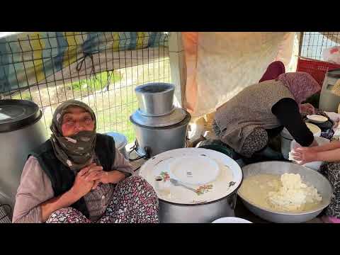 HERKESE BEDAVA SAAT GÜNDÜZ VAKTİ İKİ KURT