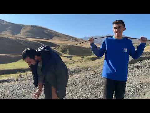 ERKEK KUZULARI IĞDIRA GÖTÜRÜYORUZ ÇELENGİN SINAVI