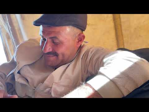 POZGEWR IN OĞLU YARALANDI KOYUNLARIN GELİŞİMİ