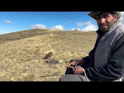 YENİ YILIN İLK KUZULARI DOĞMAYA BAŞLADI