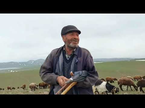 SİNEK YAYLALARINDAN GEÇİYORUZ ağrı HIRÇO TEK BAŞINA DİĞER