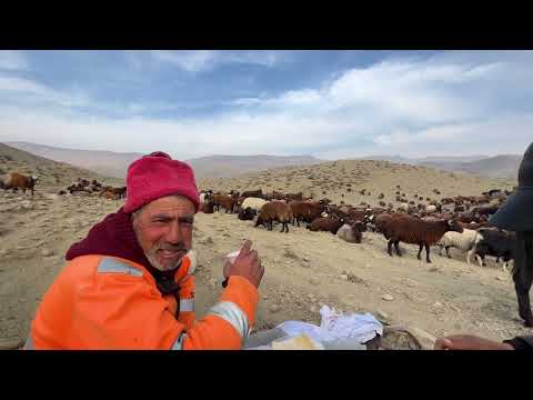ARAS NEHRİNİN SUYU İLAÇ GİBİ GELDİ BOZOYU YARALAMIŞLAR 29