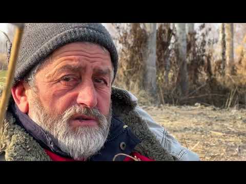 SERDAR ABİ 20 KUZU ALDI BENİ TANIMAYINCA ÜSTÜME GELDİ